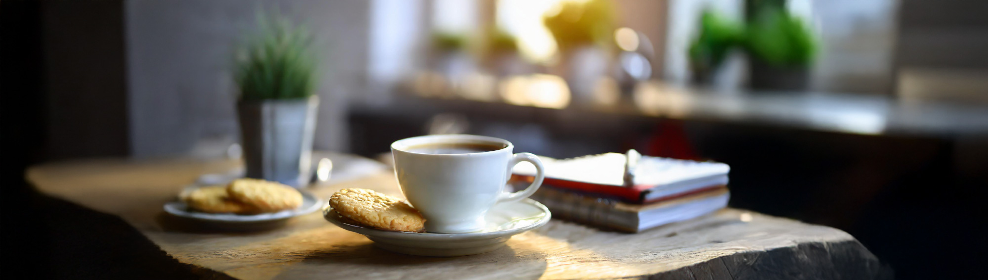 TERRAbyte - Marketing und Werbung - Meeting