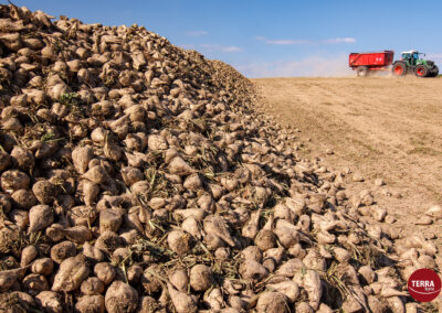 TERRAbyte - Industriefografie - Landwirtschaft
