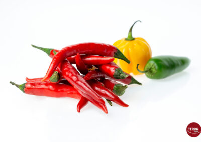 Terrabyte - Produktfotografie - Food - Chili