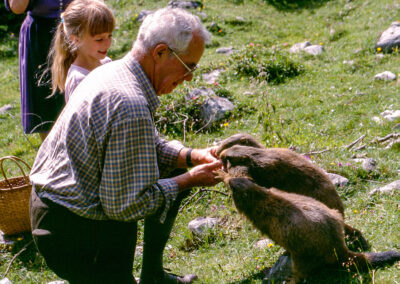 TERRAbyte . Tourismus - Referenzen - Österreich