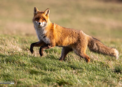 TERRAbyte - Naturfotografie - Referenzen