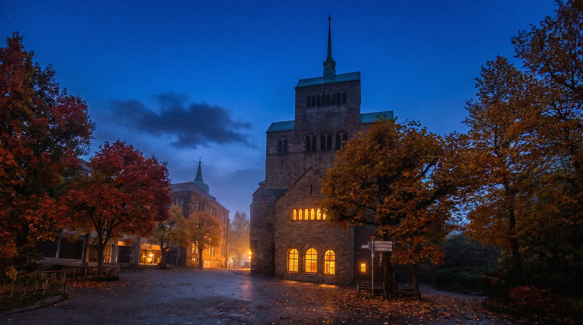 TERRAbyte Medien und Marketing Agentur für Minden - Mindener Dom - Nachtaufnahme